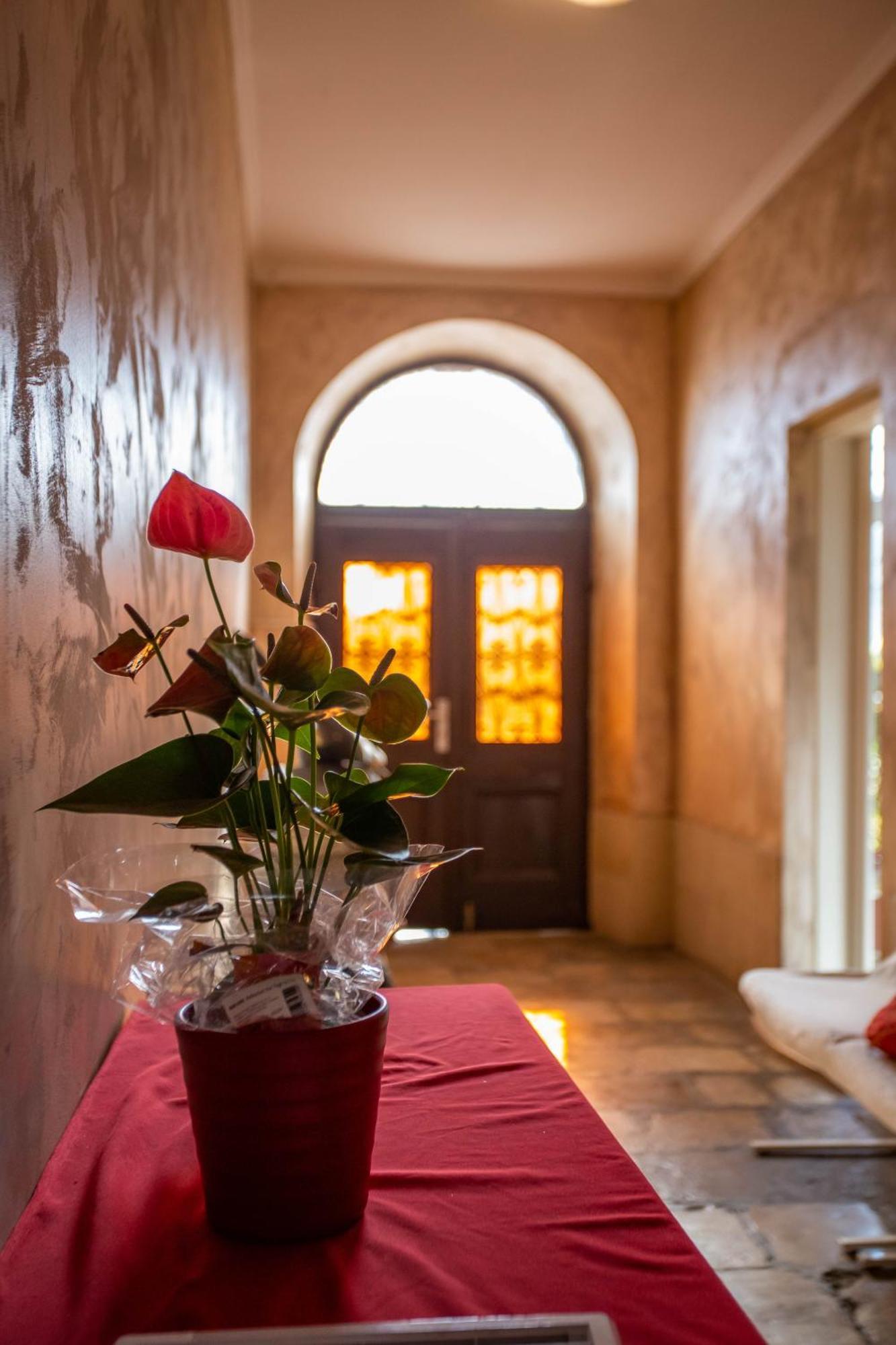 Anchi 3* Dubrovnik