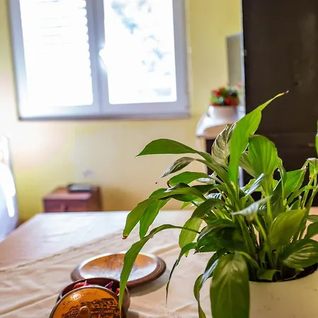 Anchi Guesthouse Dubrovnik Room photo